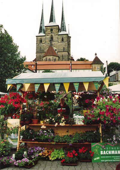 Marktstand-Gaertnersommer