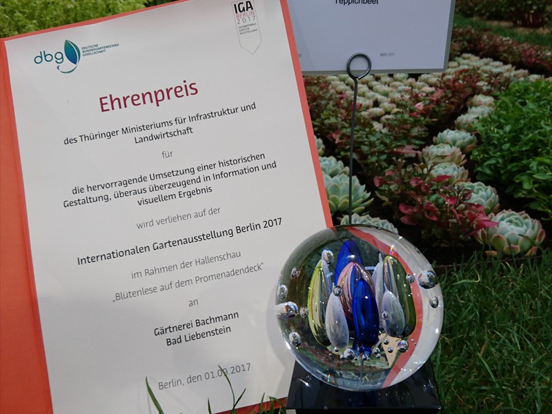 Ehrenpreis IGA Berlin 2017 f�r Gestaltung und Information Teppichbeet
