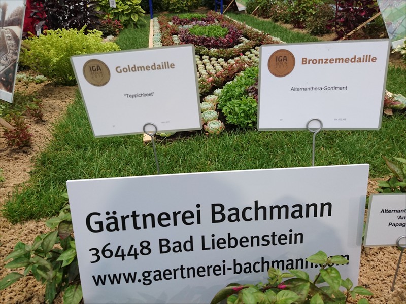Medaillen IGA Berlin 2017 f�r Teppichbeet